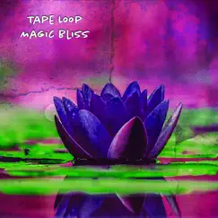 Tape Loop Magic Bliss by Ambient Chill Tape Magic album reviews, ratings, credits