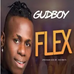 Flex - Single by Gudboy album reviews, ratings, credits