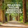 Relaxing Nature Ambience Meditation (Forest) album lyrics, reviews, download