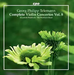 Double Violin Concerto in B-Flat Major, TWV 52:B2: III. Adagio Song Lyrics