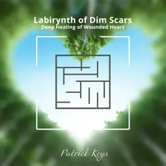 Labirynth of Dim Scars: Deep Meditation Music For Healing Wounded Heart, Release Emotions and Let Go by Patrick Keys album reviews, ratings, credits