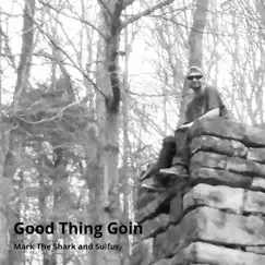 Good Thing - Single by Mark The Shark & Sulfur album reviews, ratings, credits