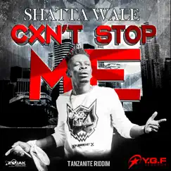 Caan Stop Me - Single by Shatta Wale album reviews, ratings, credits