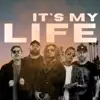 It's My Life (Cover) - Single album lyrics, reviews, download