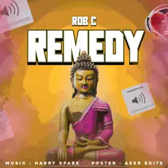 Remedy - Single by Rob C & Harry Spark album reviews, ratings, credits