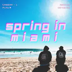 Spring In Miami: Part One by Skinny Josh & JDASHME album reviews, ratings, credits
