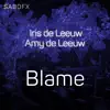Blame (feat. Amy de Leeuw) - Single album lyrics, reviews, download