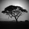 Serengeti days and nights album lyrics, reviews, download