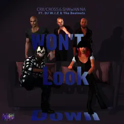 Won't Look Down (feat. DJ W.I.Z & The Beatnuts) Song Lyrics