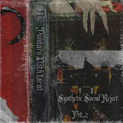 Synthetic social Part 2 (feat. 13thtarot) - Single by Pvndorv album reviews, ratings, credits