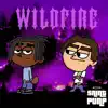 Wildfire - Single album lyrics, reviews, download