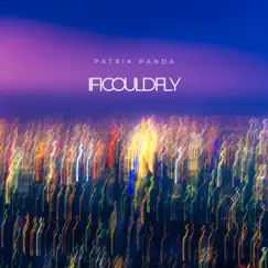 If I Could Fly - Single by Patrik Panda album reviews, ratings, credits