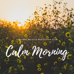 Calm Morning by Future Relax & Meditation Club album reviews, ratings, credits
