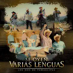 Se Oyen Varias Lenguas Song Lyrics