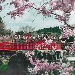 Cherry Blossom Song Lyrics