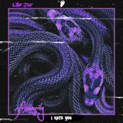 Animosity - Single by Lbf Jay album reviews, ratings, credits