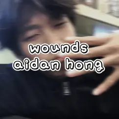 Wound (2022 Remastered Version) - Single by Aidan Hong album reviews, ratings, credits