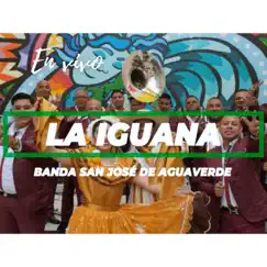 La iguana (En vivo) - Single by Banda san jose de aguaverde album reviews, ratings, credits