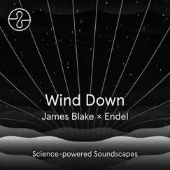 Wind Down by James Blake & Endel album reviews, ratings, credits