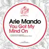 You Got My Mind On - Single album lyrics, reviews, download