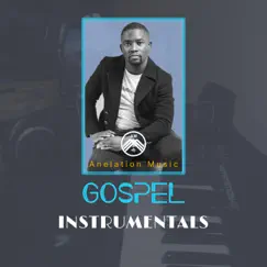 Am Instrumentals Vol 1 by Anelation Music album reviews, ratings, credits