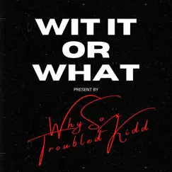 Wit It or What (feat. troubledkid2x) Song Lyrics