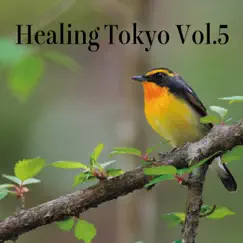 Water Drop (Healing Tokyo Version) Song Lyrics