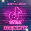 TikTok (feat. litleboy lsbeats767) - Single album lyrics, reviews, download