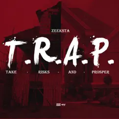 T.R.A.P. (Take Risks and Prosper) by Zeeksta album reviews, ratings, credits