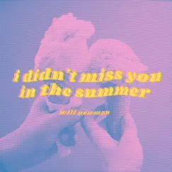I Didn't Miss You in the Summer Song Lyrics