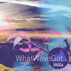 WhatWeveGot - Single by Viggz album reviews, ratings, credits
