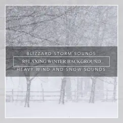 Blizzard Storm Sounds, Relaxing Winter Background, Heavy Wind and Snow Sounds by Nature Sounds album reviews, ratings, credits