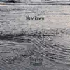 New Dawn - Single album lyrics, reviews, download