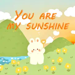 You Are My Sunshine (Lofi Version) - Single by Møon lofi beats album reviews, ratings, credits