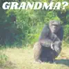 Grandma? album lyrics, reviews, download