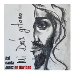 Así Canta Jerez en Navidad - Mi Dios Gitano (feat. Luis de Perikin) - Single by Así Canta Jerez album reviews, ratings, credits