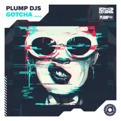 Gotcha - Single by Plump DJs album reviews, ratings, credits