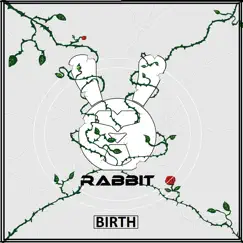 Birth - Single by Rabbit album reviews, ratings, credits