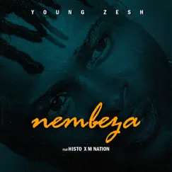 Nembeza (feat. Histo & M Nation) - Single by Young Zesh album reviews, ratings, credits