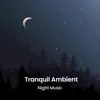 Tranquil Ambient Night Music album lyrics, reviews, download