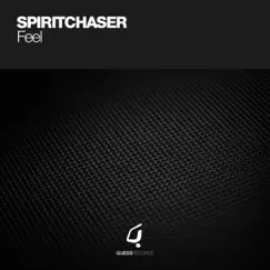 Feel by Spiritchaser album reviews, ratings, credits