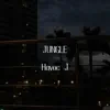 Jungle - Single album lyrics, reviews, download