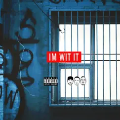 I'm Wit It - Single by New Track City album reviews, ratings, credits