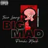 Big Mad - Single album lyrics, reviews, download