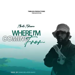 Where I'm Coming From - Single by Mbedle Makasana album reviews, ratings, credits