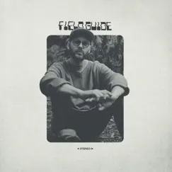 Field Guide by Field Guide album reviews, ratings, credits