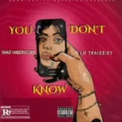 You Dont Know - Single by Snazzy_ZAOfficial album reviews, ratings, credits