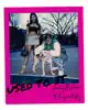 Used to It (feat. Fergie Baby) - Single album lyrics, reviews, download