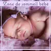 Zone de sommeil bébé - Musique douce pour de beaux rêves, Des berceuses relaxantes, Des sons instrumentaux calmes pour Nouveau-né et enfant album lyrics, reviews, download