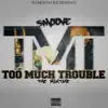 Too Much Trouble (feat. Diallo VE) song lyrics